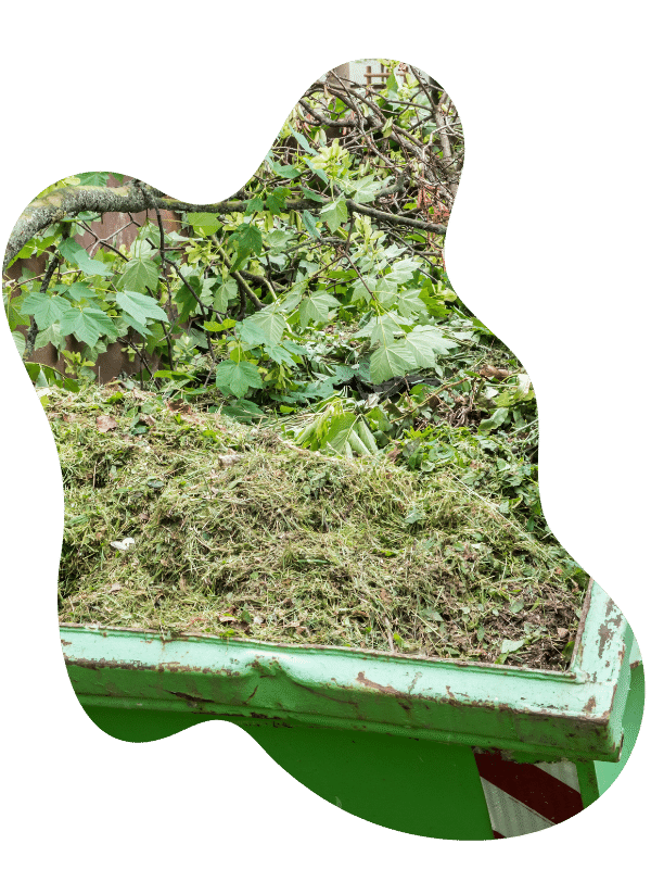 Green Waste Removal